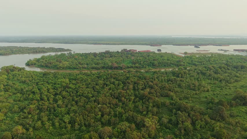 Aerial view of the lush green landscape of Delta Mahakam with barges navigating the river in Anggana, East Kalimantan, Indonesia.