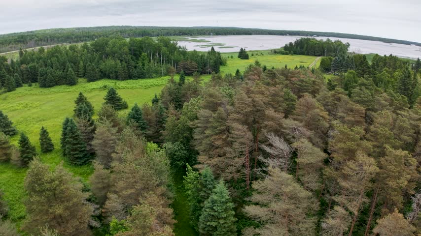 Aerial view moves over a green clearing with scattered conifers and mixed forest toward a shallow lakeshore near Hessel Michigan.