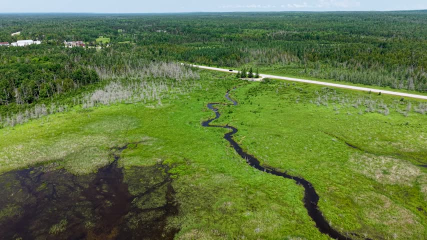 Drone view reveals a serpentine black creek winding across a wide green Hessel marsh with forest and a road beyond.