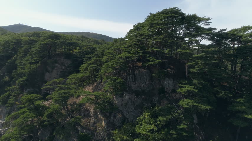 Mature pines crown a steep coastal rock with exposed gray faces and shrubs growing along the ledges above calm lagoon water as a close aerial view rises past the trees against a forested hillside
