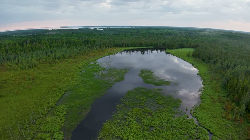 A drone looks across an oval marsh pond reflecting clouds and bordered by green wetlands and dense Hessel forest.