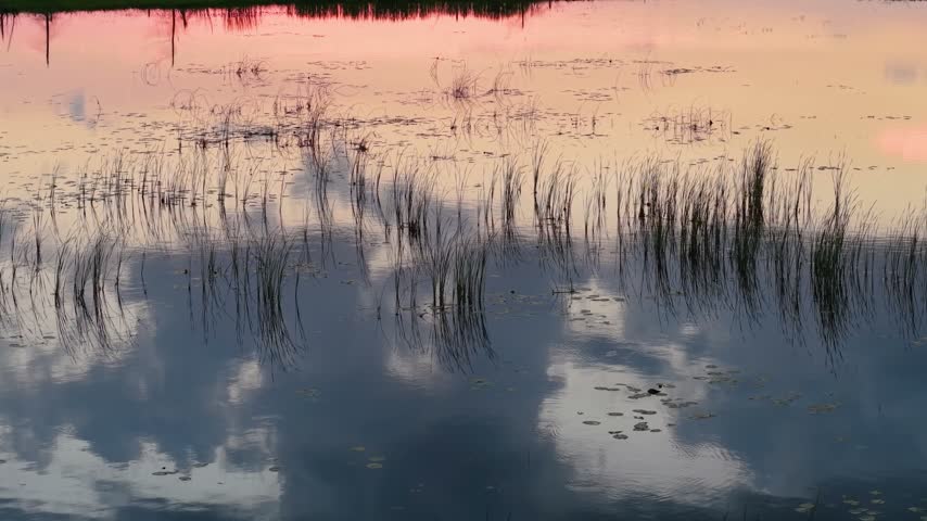 Warm evening sky and clouds reflect across a shallow marsh pool with sparse reeds near Hessel Michigan.