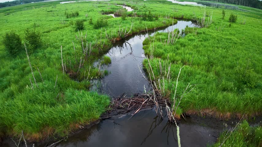 A drone follows a narrow winding creek between lush grassy banks and scattered bare branches near Hessel Michigan.