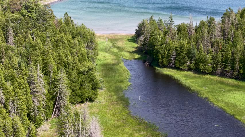 A drone flies above a dark creek bordered by green marsh and evergreen forest as it opens toward Lake Huron near Hessel Michigan.