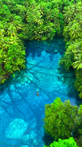 Aerial view of an adult man navigating a wooden canoe on a clear blue lake surrounded by dense tropical forest at Paisupok Lake, Banggai, Sulawesi, Indonesia.