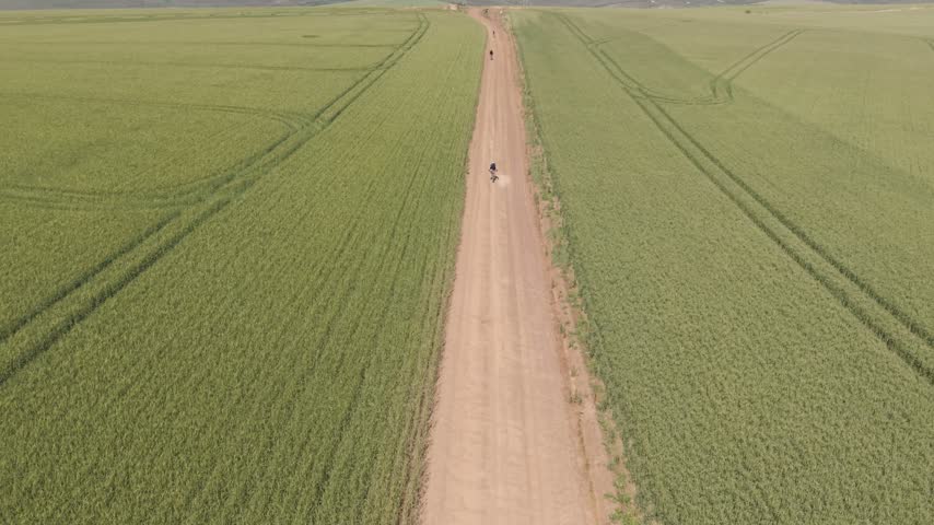 Aerial view of a cyclist riding along a dirt road through expansive green agricultural fields in Greyton, Western Cape, South Africa.