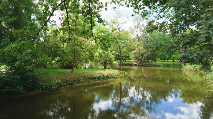 Calm pond with tree reflections in scenic summer park