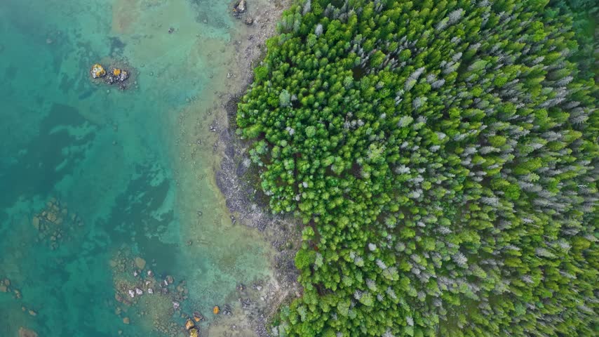 Vertical drone view shows dense evergreen trees lining a narrow rocky peninsula beside transparent turquoise water.