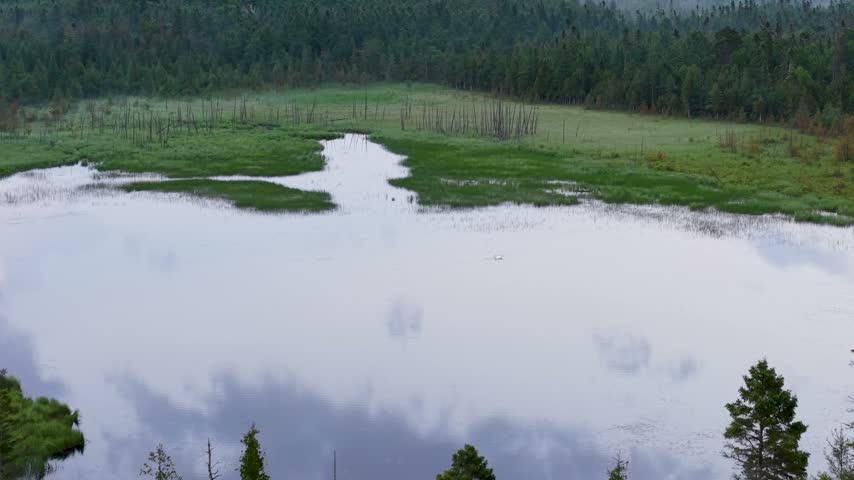 Clouds reflect across a broad still wetland pool bordered by green marsh and standing dead trees near Hessel Michigan.
