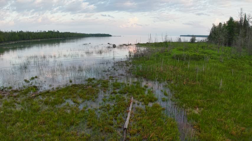 A low drone view crosses a rocky marsh shoreline with grasses reeds and calm bay water near Hessel in the Upper Peninsula.
