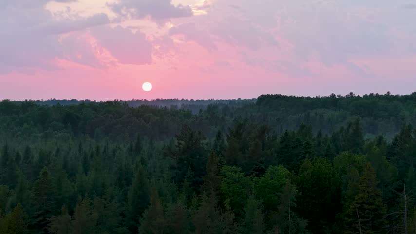 A glowing sun descends through pink clouds above a vast evergreen forest in the Upper Peninsula of Michigan.