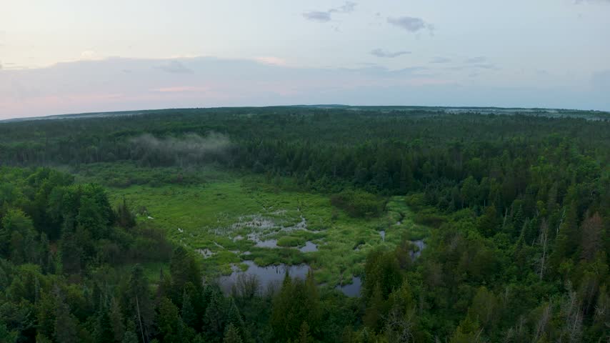A broad drone view reveals wetland pools surrounded by dense forest beneath soft pastel evening light in Michigan.