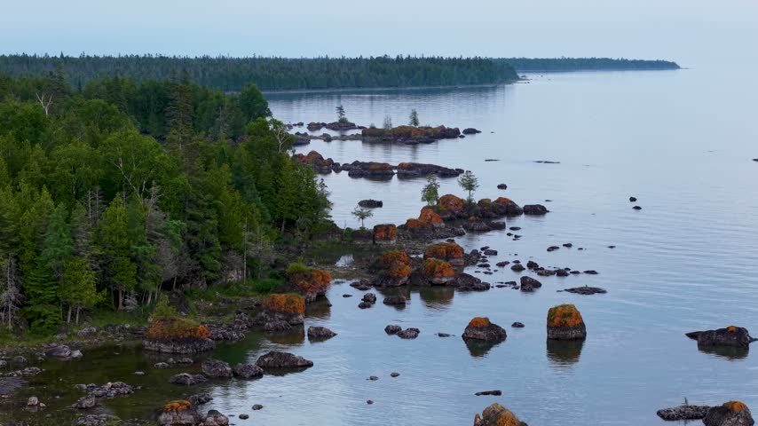 Drone view follows a rugged forested shoreline dotted with orange lichen covered boulders beside calm Lake Huron water.