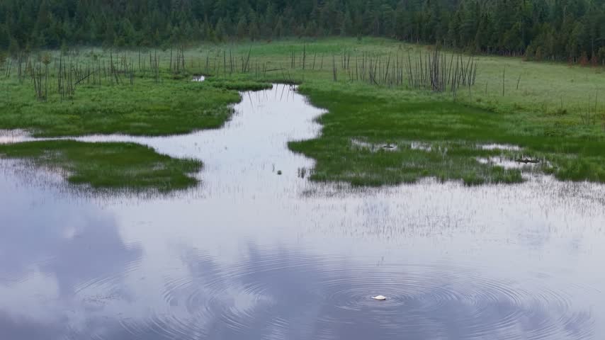 A broad water channel reflects clouds and evening light while winding into a green forested marsh in northern Michigan.