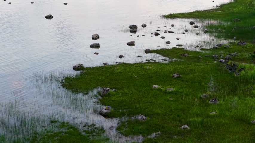 Scattered boulders line a vivid green grassy shoreline beside calm shallow water near Hessel in the Upper Peninsula.