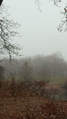 Early Autumn Morning with Mist Over a Calm Lake