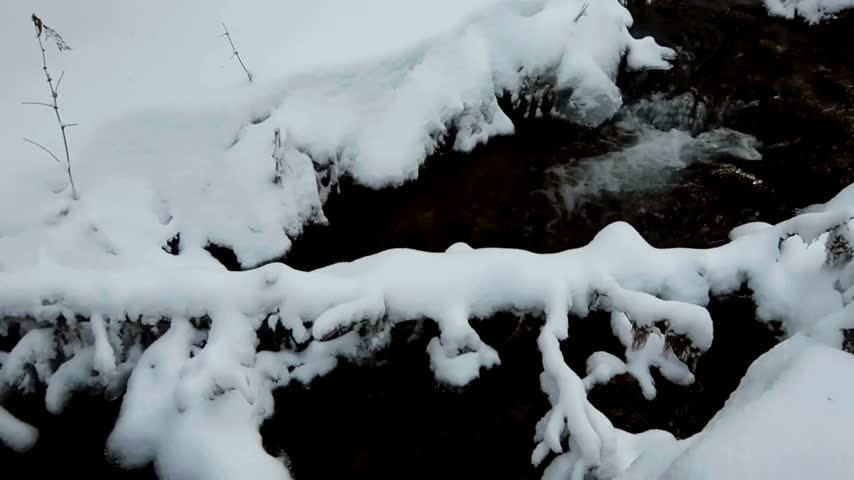 Snow blankets the ground as a stream flows steadily through a forest in winter. Trees surround the scene, showcasing nature in a cold season.
