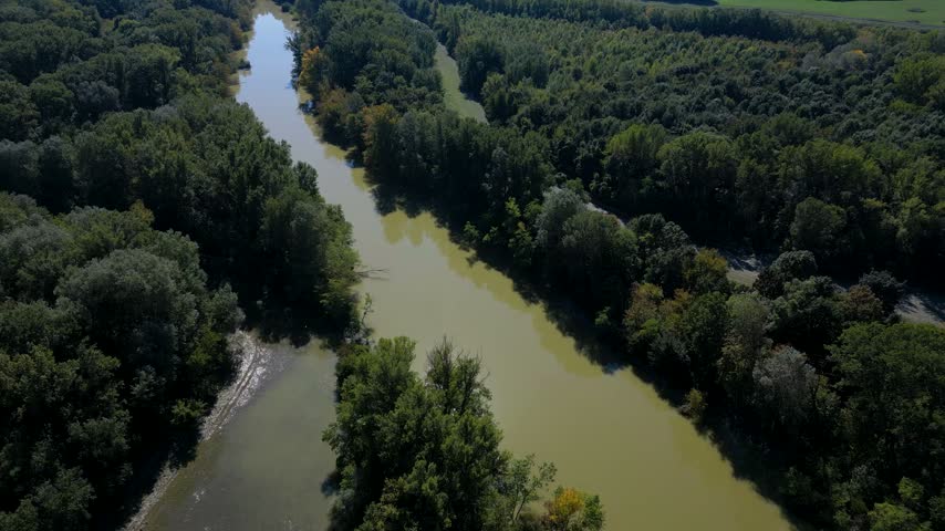 Danube River flooding, water flowing into the forests around, Slovakia, 4k