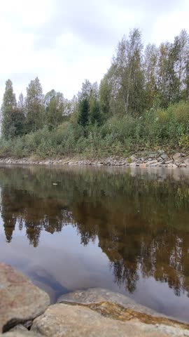 Quiet forest river flowing on an overcast autumn day with reflection of trees in dark water.