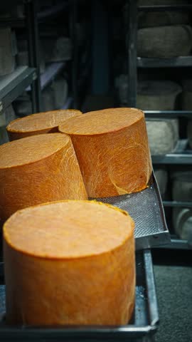 Large Orange Cheese Wheels Stored on Industrial Shelves in a Cheese Factory