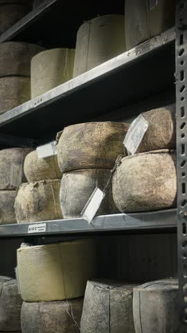Large Round Cheese Wheels Arranged on Storage Racks Inside a Dairy Factory