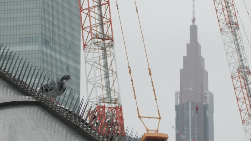 A pigeon flying in an urban area under a cloudy sky in Shinjuku Tokyo