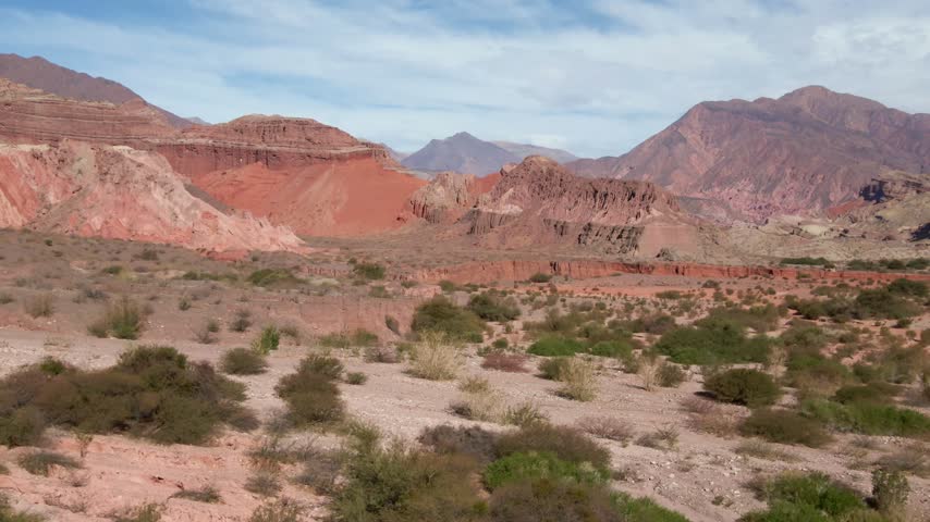 Colorful red rock formations and sparse desert shrubs fill Quebrada de las Conchas valley under a bright daytime sky in Salta, Argentina.