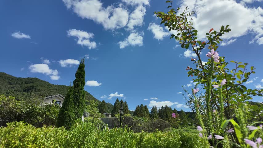 Flower garden with blooming beds, green trees and a winding path under a cloudy sky.