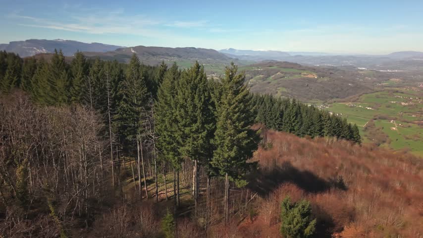 Cinematic drone orbit over Corsuet Forest in Savoie, France, revealing a vast green woodland landscape under clear sunny skies in the French Alps.
