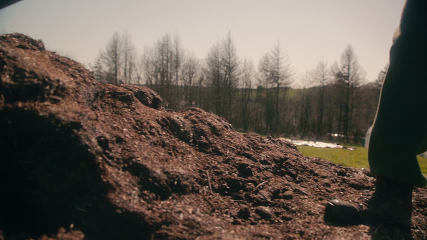 A man shovels a large pile of compost into a wheelbarrow, with trees and a distant polytunnel in the background.