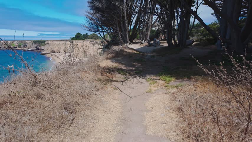 POV walking along coastal cliff trail above Davenport Beach, California, with ocean views, rugged shoreline and trees, scenic Pacific coastline, cinematic moving nature footage