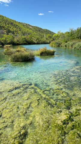  Crystal clear turquoise water of Krka National Park, Croatia: A stunning natural landscape with numerous fish swimming over mossy submerged rocks and aquatic plants under a bright blue sky