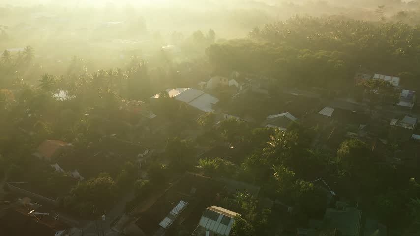 A peaceful rural landscape in the morning.