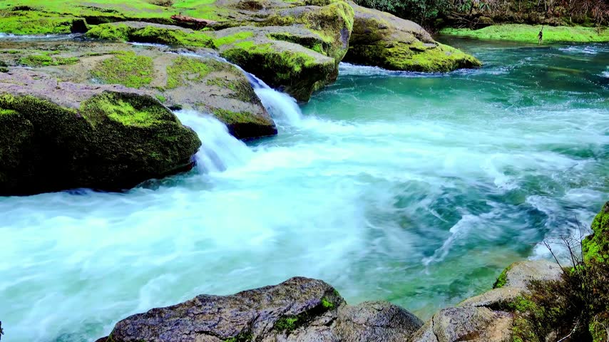 Rivers cascade over moss-covered rocks surrounded by vibrant greenery in a forest setting. Water flows swiftly through the serene landscape, showcasing nature