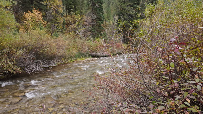 Panning view of Big Elk Creek in the Idaho wilderness on the first day of fall.