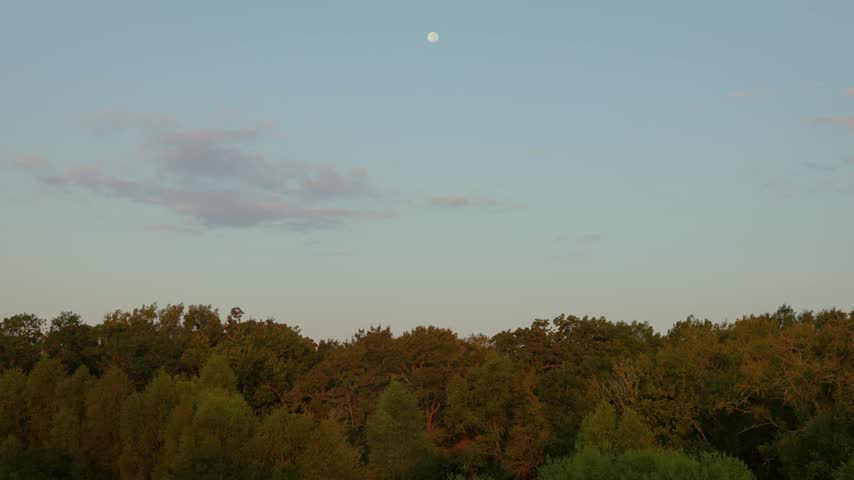 Sunrise over native Texas forests, lit by the first rays of sunlight, with the full moon still visible in the clear sky.
