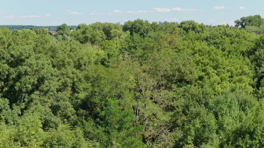 Aerial panoramic video of Imphy, France, showing a small town surrounded by dense green trees and a winding river under a clear blue sky. The scene captures residential houses with red roofs