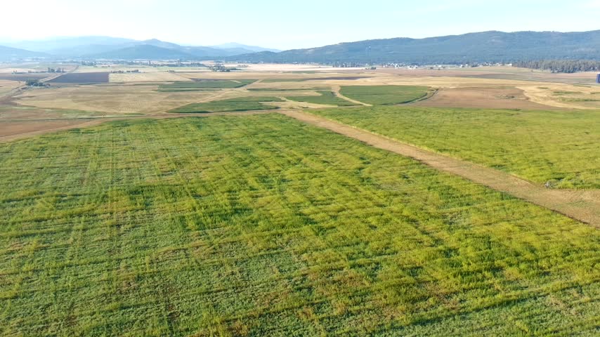 Aerial Montana Hemp Field Farm Landscape