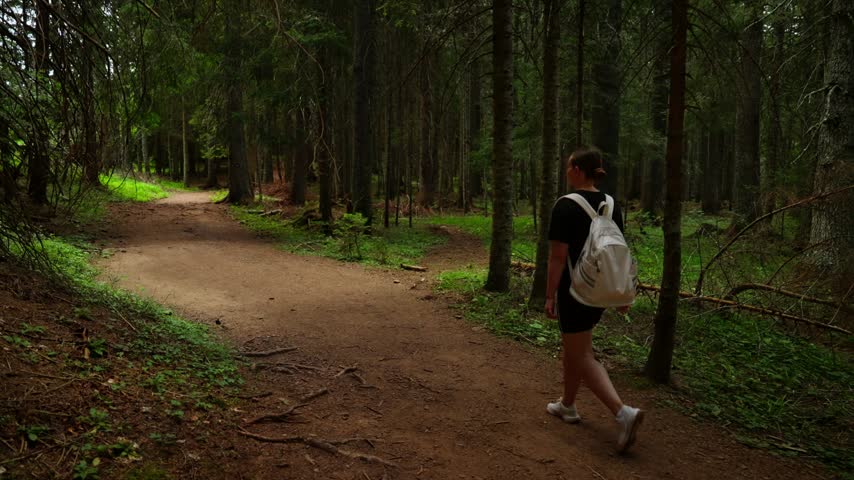 Solo hiker with white backpack walking along a peaceful forest trail surrounded by tall green trees, exploring nature and enjoying a quiet woodland path