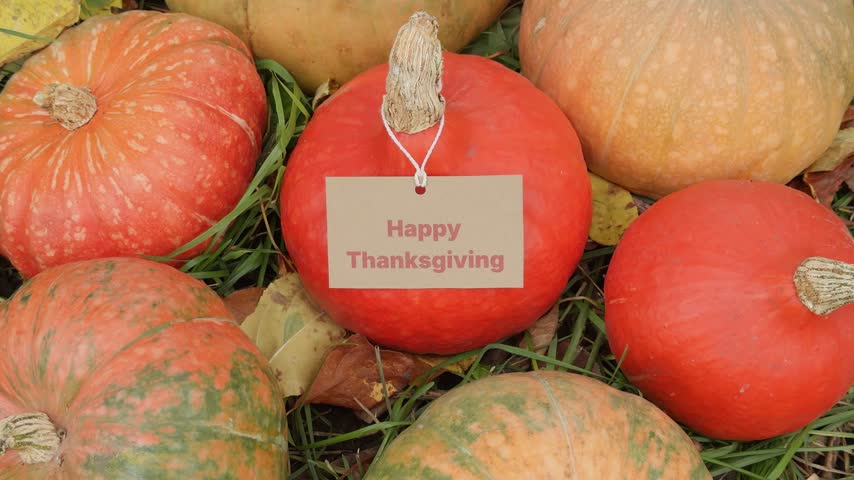A central red pumpkin features a small craft tag reading Happy Thanksgiving surrounded by vibrant orange and green pumpkins lying on the autumn grass.