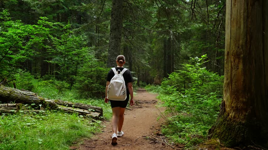 Solo hiker with white backpack walking along a peaceful forest trail surrounded by lush green trees, exploring tranquil nature in a serene woodland landscape