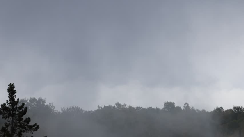 Fog in the forest in autumn, mist on the mountain in autumn.