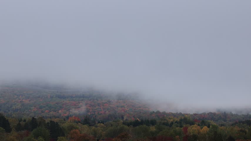 Fog in the forest in autumn, mist on the mountain in autumn.