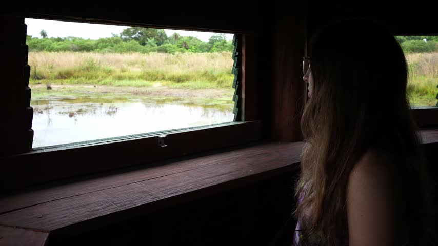 Young woman birding with binoculars from a wildlife observation hide looking at a wetland