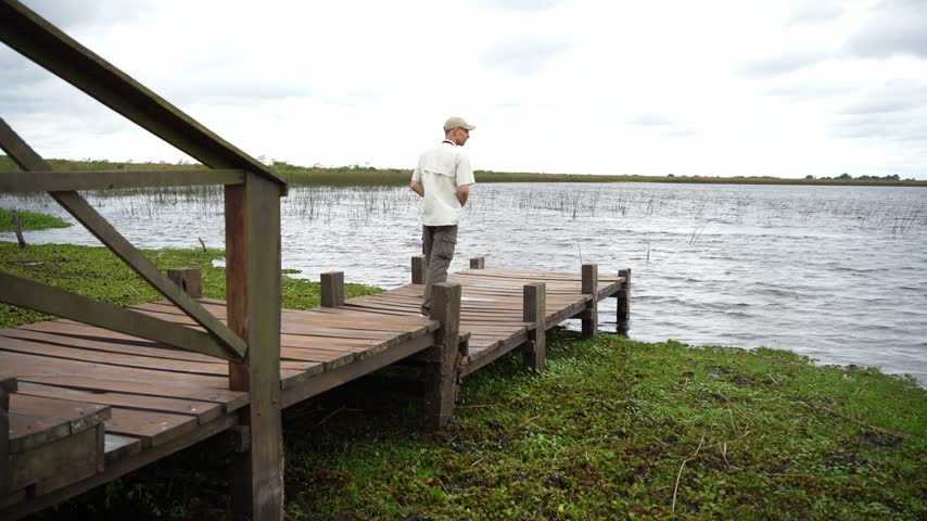 Ornithologist standing on a dock observing wildlife in a lush natural wetland environment