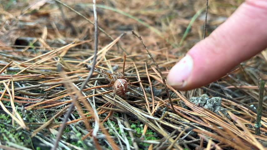 Close-up of a person
