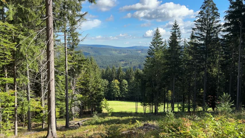 Scenic view of the Beskids landscape with a green meadow surrounded by forest and distant mountain hills under a blue sky with clouds.