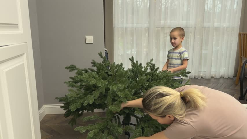 Woman and child preparing Christmas tree by adjusting branches. Domestic festive routine before decoration.