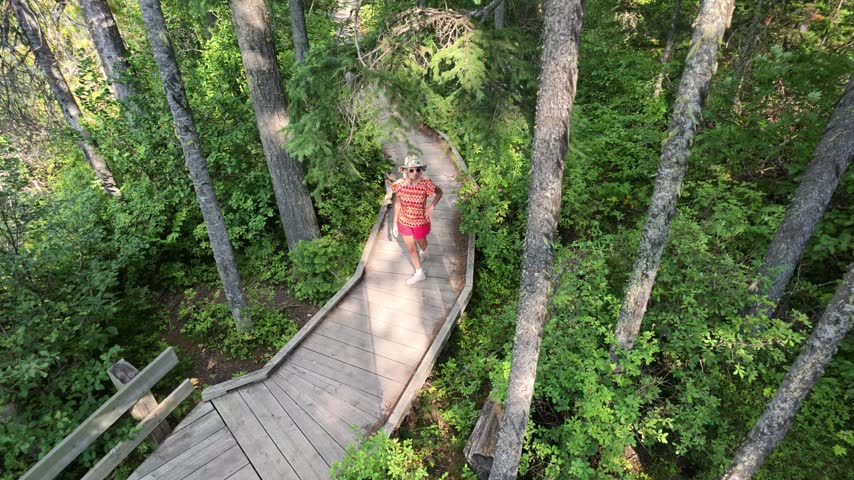 Young person standing on boardwalk, looking down at turquoise water of Olive Lake, revealing submerged logs and rocks through transparent surface in Kootenay National Park in British Columbia, Canada