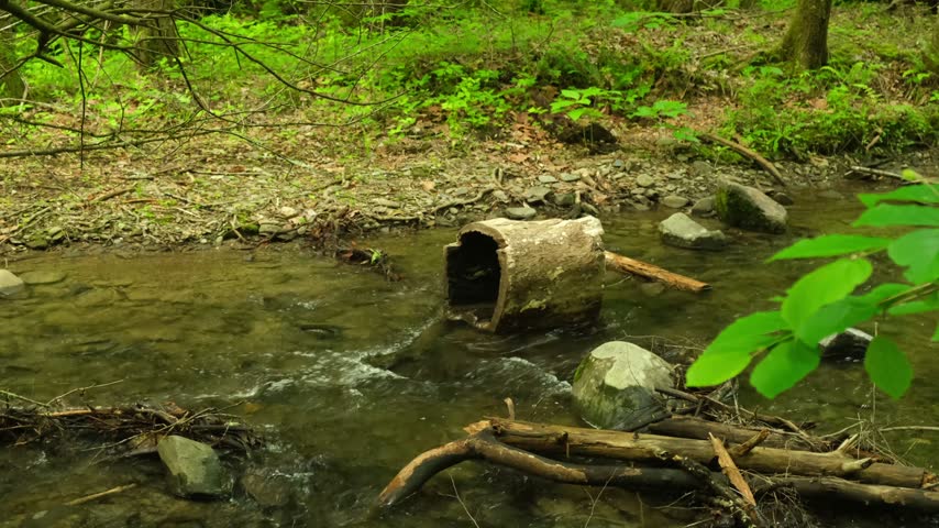 The water rolls over the rocks, forming a shallow stream. Tree trunks lie along the stream.